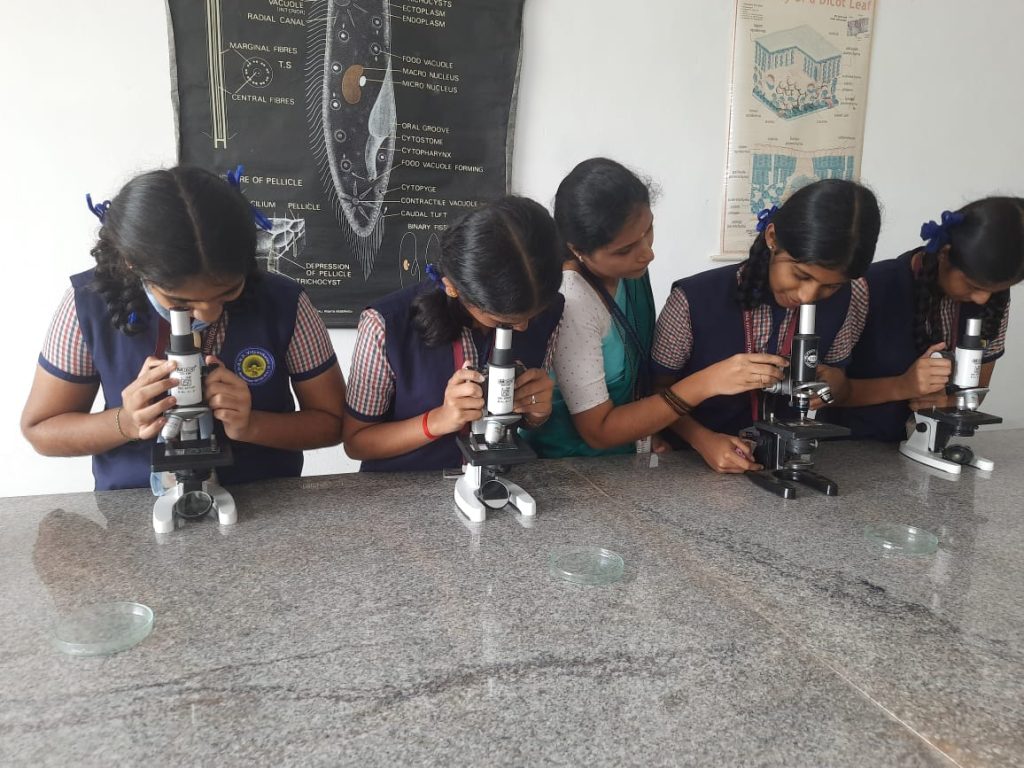 RNS International School Campus